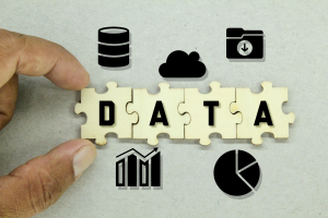 Data Integration